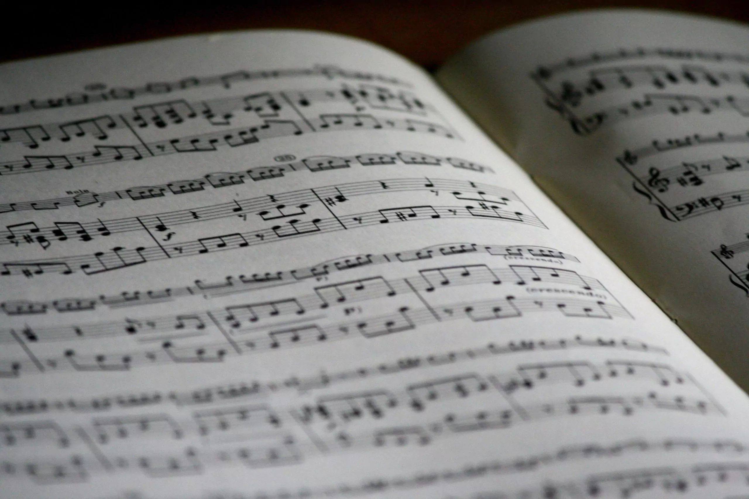 Musikschulen und Weiterbildungsmöglichkeiten in Nürnberg Der perfekte Ort, um deine musikalischen Fähigkeiten auszubauen
